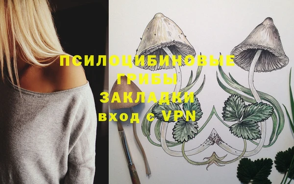 кокс Алзамай