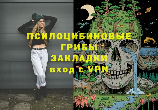 круглые Абаза