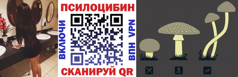 что такое наркотик Сухиничи Псилоцибиновые грибы Cubensis